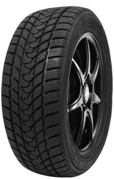 Delinte Winter WD1 (1)